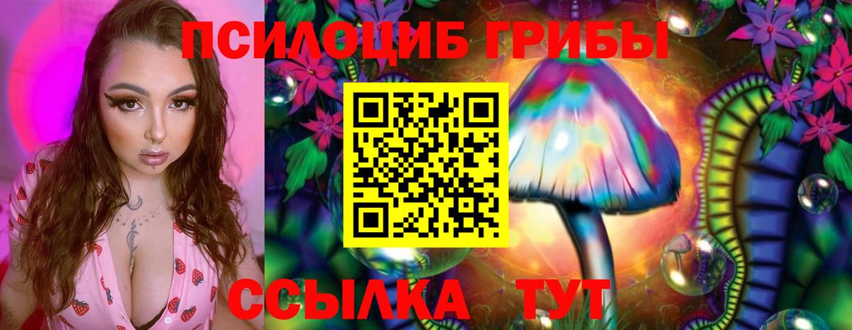 Галлюциногенные грибы мицелий  Вход с VPN  сколько стоит  Верхняя Пышма 